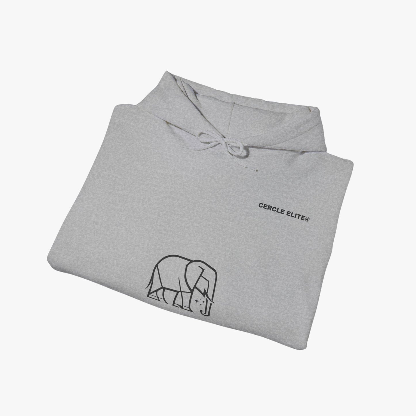 CLASSIQUE HOODIE GRIS